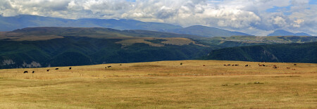 Горное пастбище