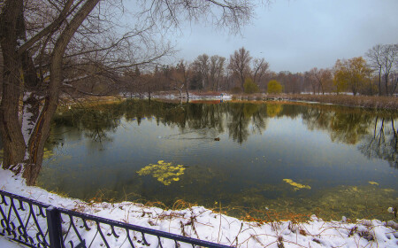 Пришла зима...