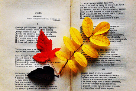 Унылая пора! Очей очарованье! А.С. Пушкин.