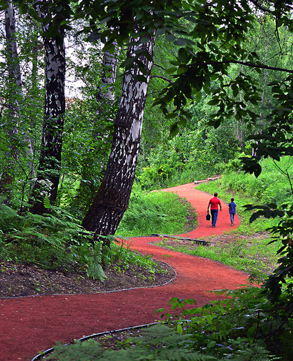 Тропа здоровья. Наукоград Кольцово.