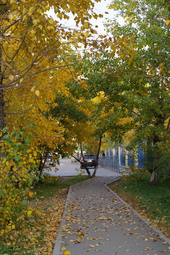 Снова осень...