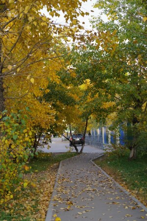 Снова осень...