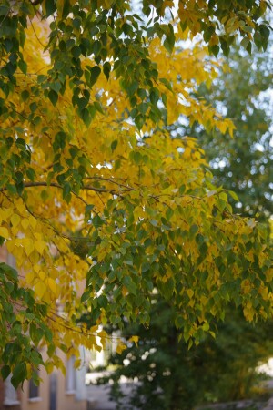 Противостояние