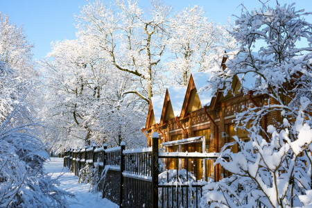 Первый снег