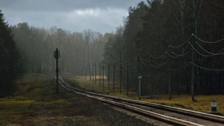 "Пикник у обочины" ЗОНА