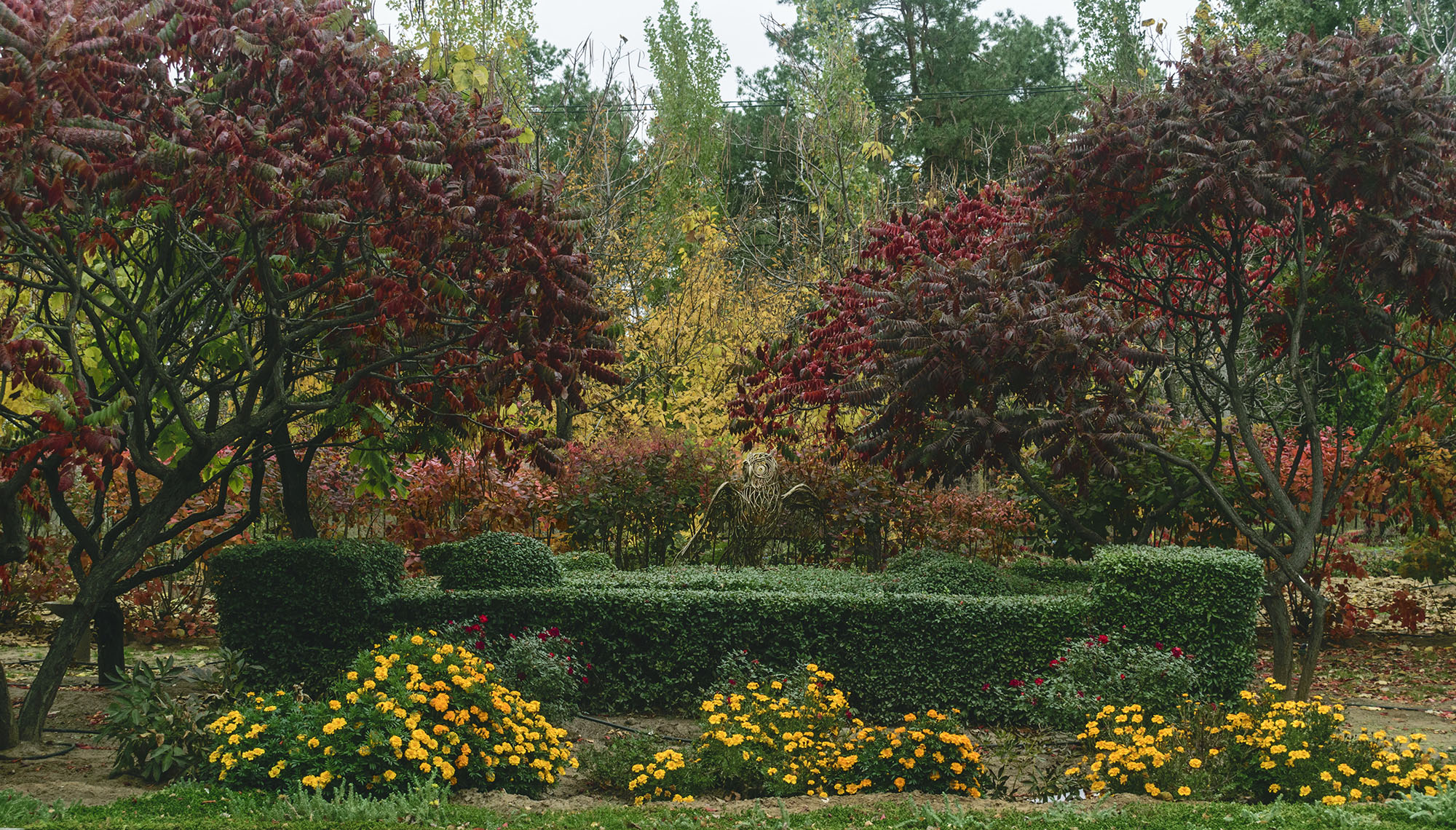 в санаторном парке