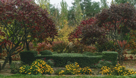 в санаторном парке