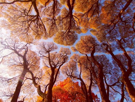 Осеннее небо