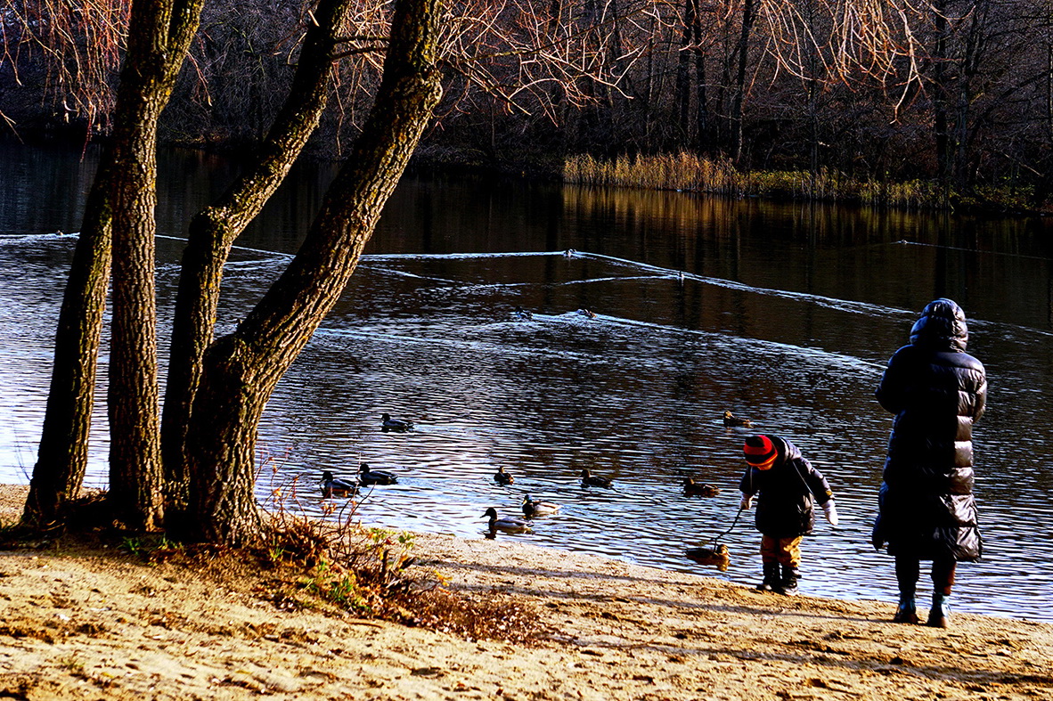 Признаки скорой зимы.