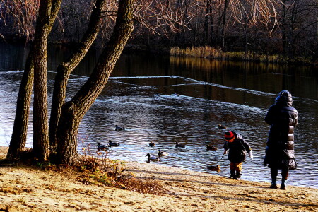 Признаки скорой зимы.
