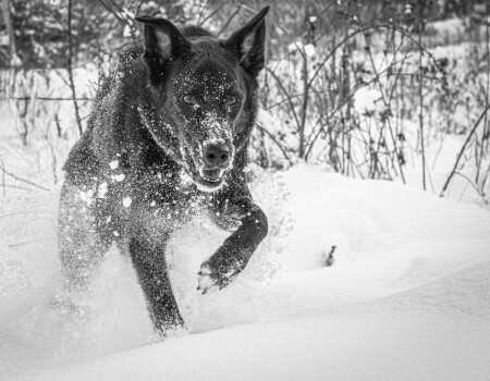 &quot;Иди сюда...&quot;