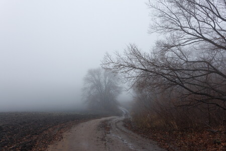 Нивы сжаты, рощи голы...