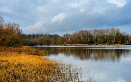 Природа Смоленщины 