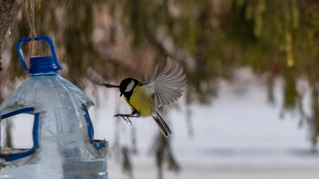 Сажууусь !!!