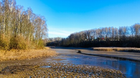 Природа Смоленщины 