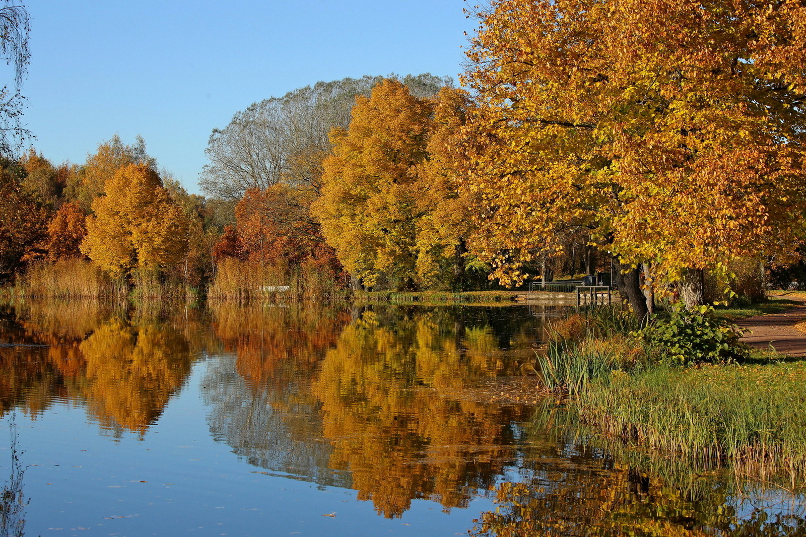 Осенний пруд