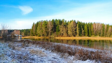 Природа Смоленщины 