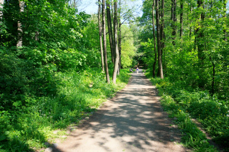 Кузьминский парк