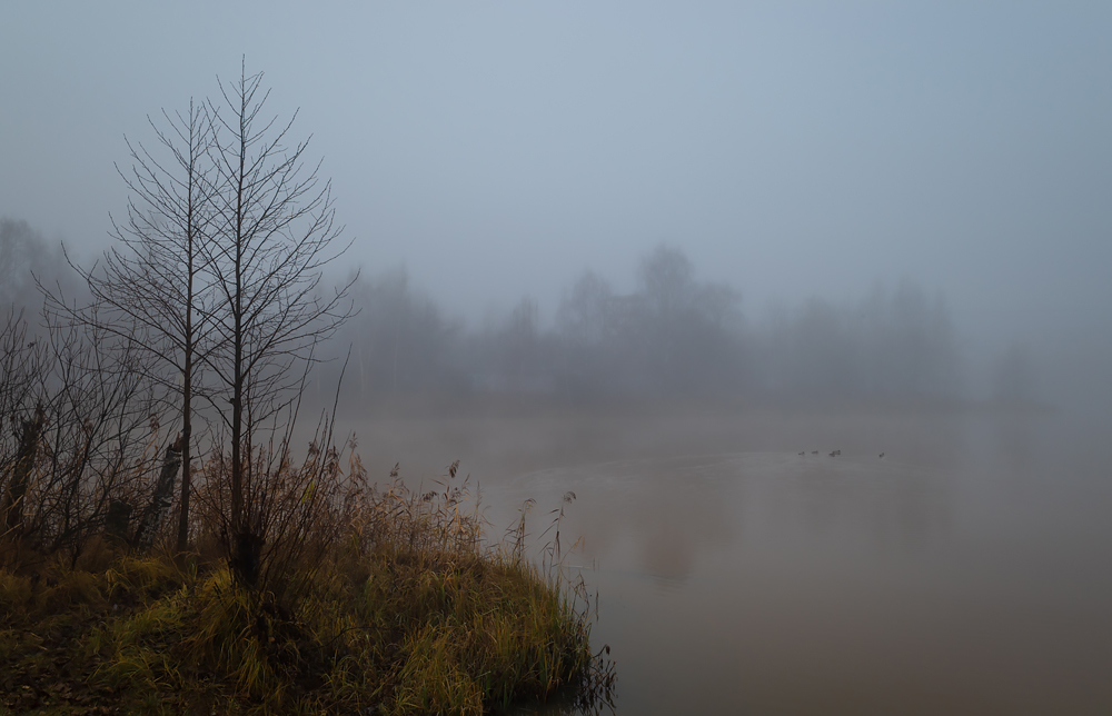 Туман над рекой