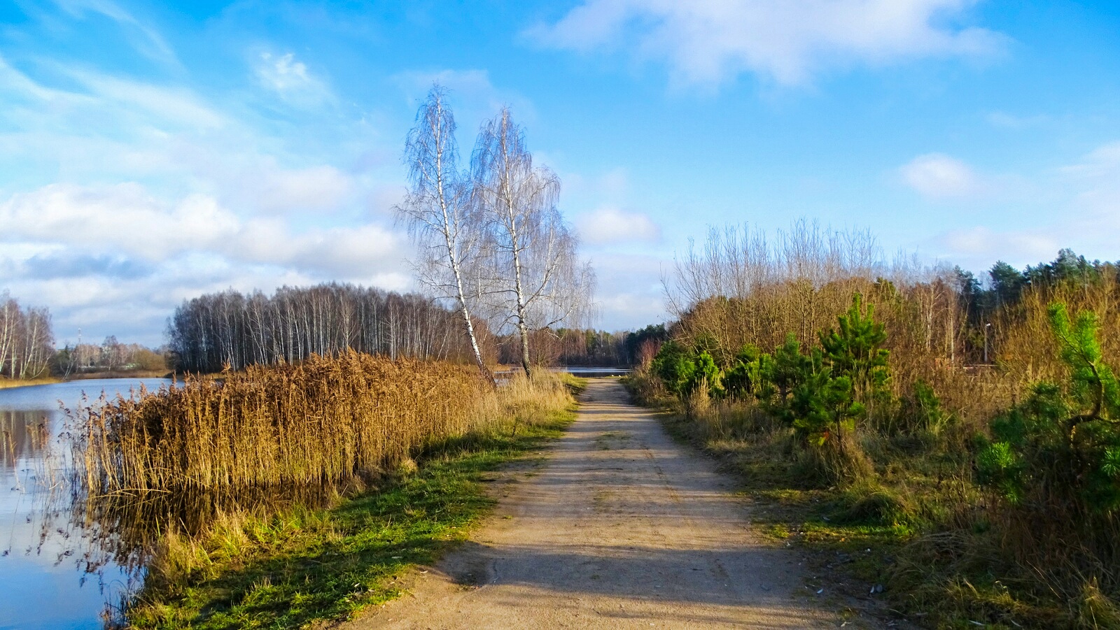 Природа Смоленщины 