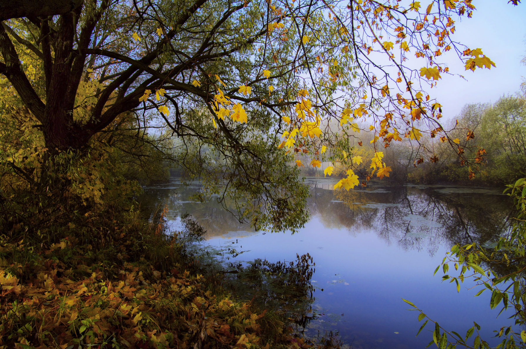 Пруд осенний
