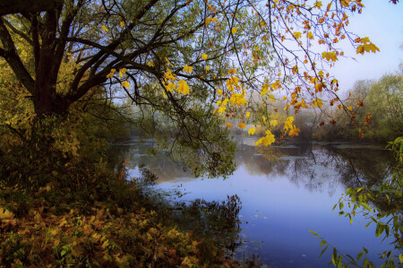 Пруд осенний