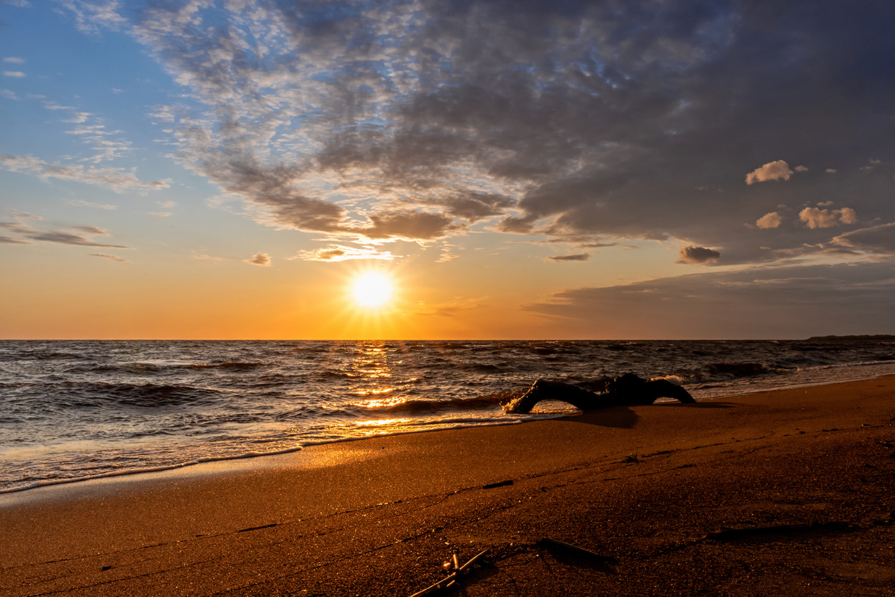 Летний вечер