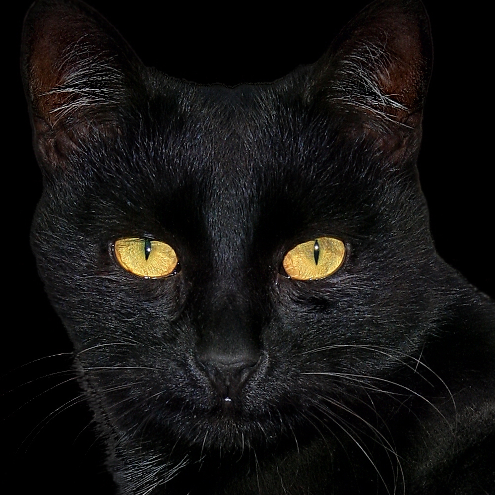 Черный квадрат (не Малевича ).