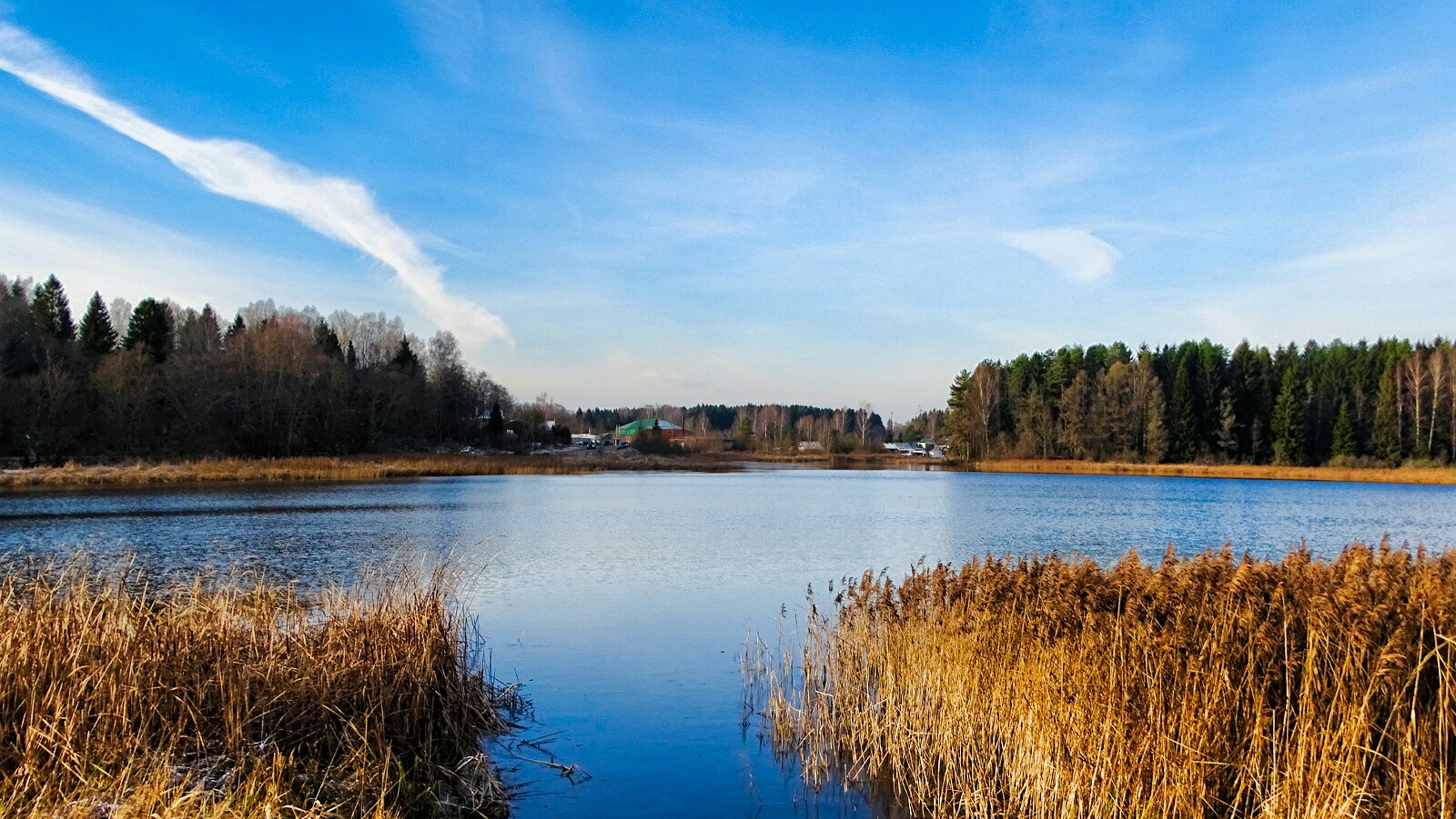 Природа Смоленщины 