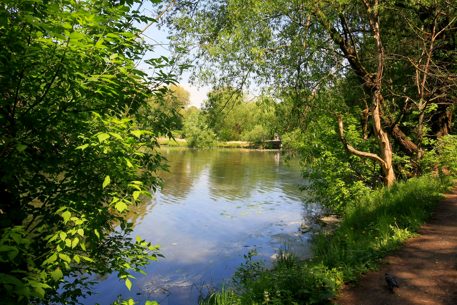 Шибаевский пруд