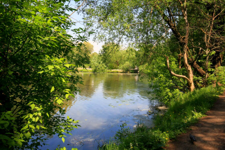 Шибаевский пруд