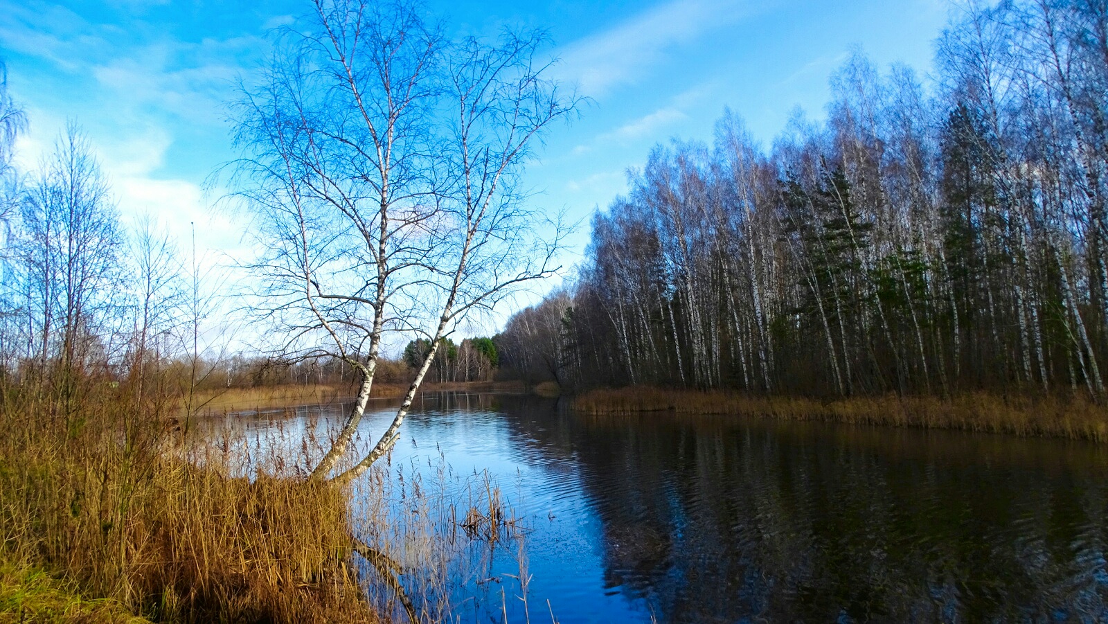 Природа Смоленщины 