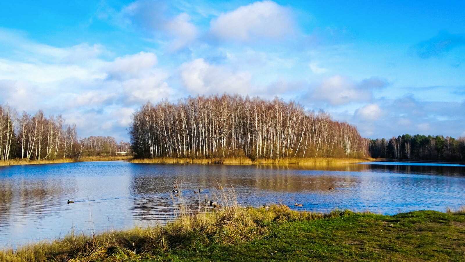 Природа Смоленщины 