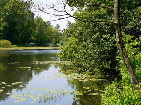 Нижний Кузьминский пруд