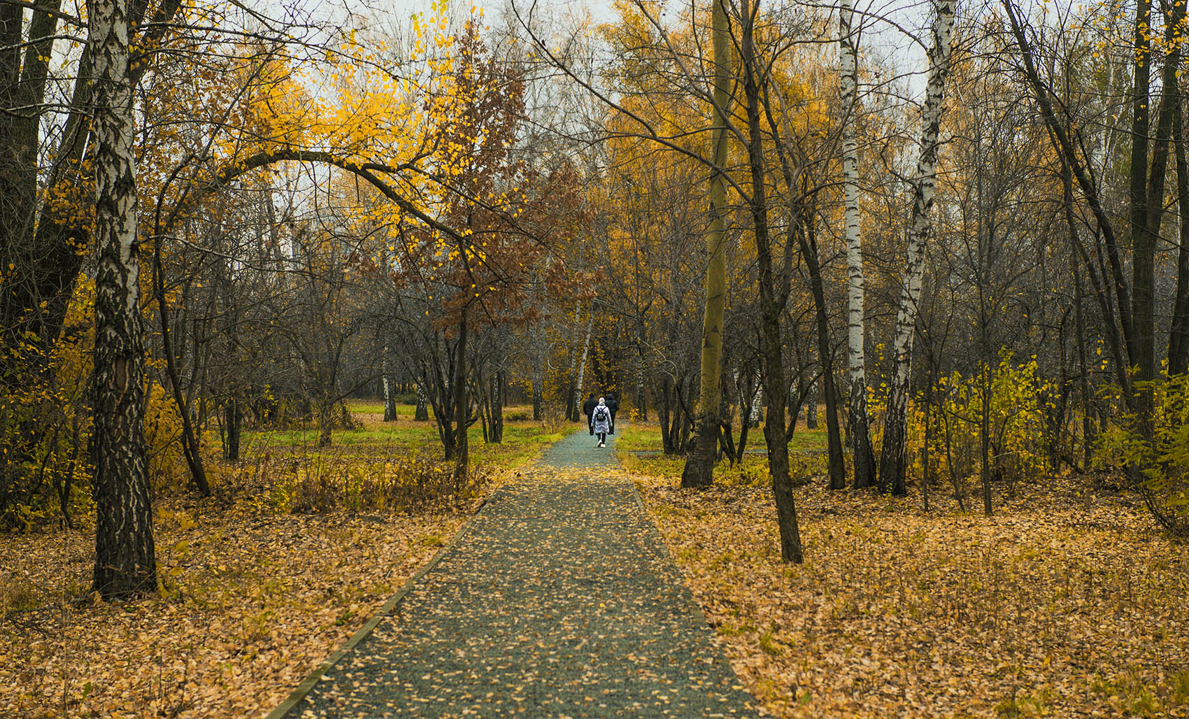 Прогулка по осеннему парку