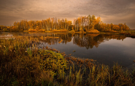Осенний день...