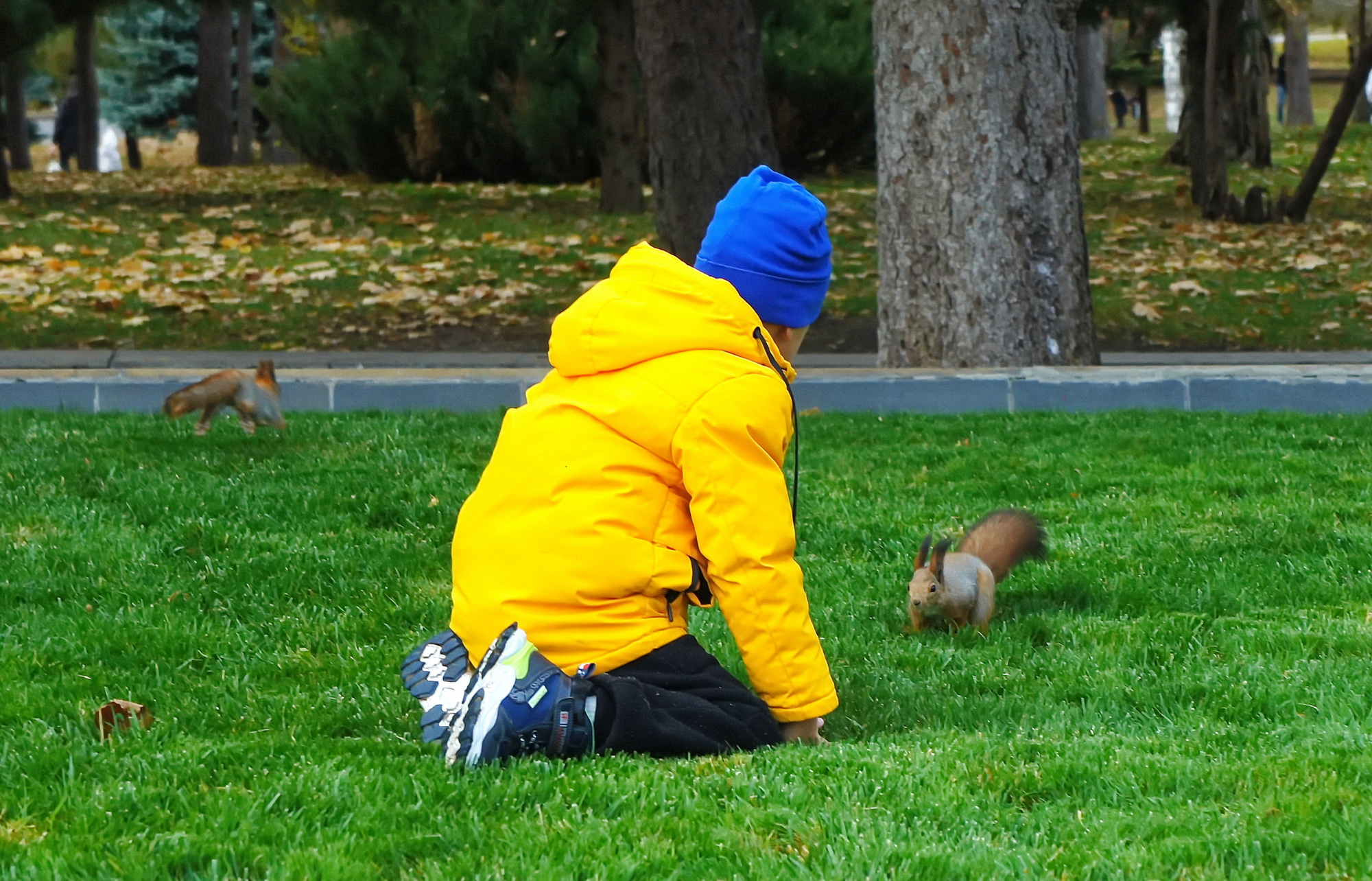КАК, СКАЖИ, ТЕБЯ ЗОВУТ...