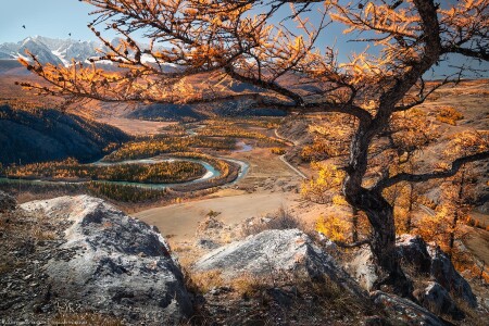 Чуйские меандры