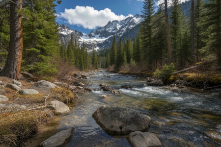 Типичный сюжет