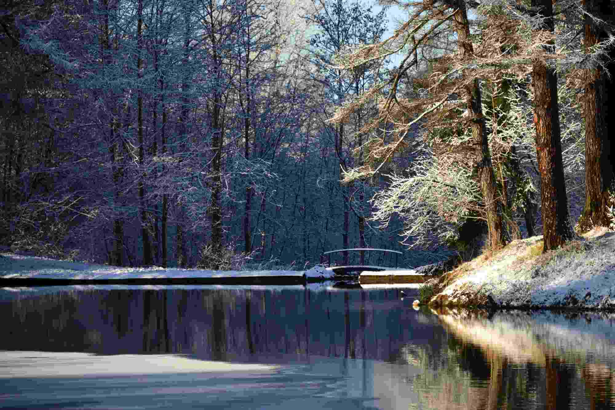 Усадьба Приютино. Первый снег