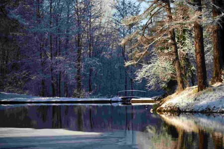 Усадьба Приютино. Первый снег