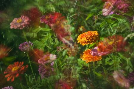 Калейдоскоп