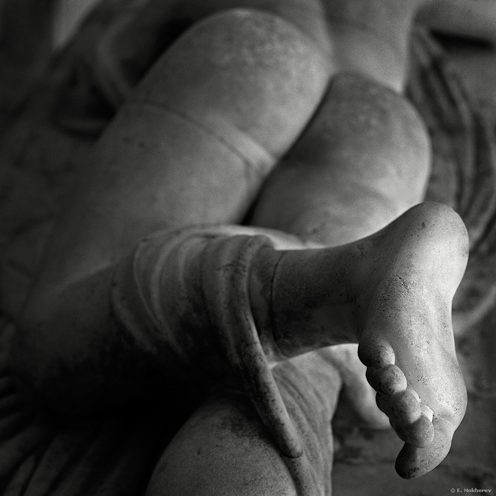 ***. Эрмитаж, С-Петербург, 2006.