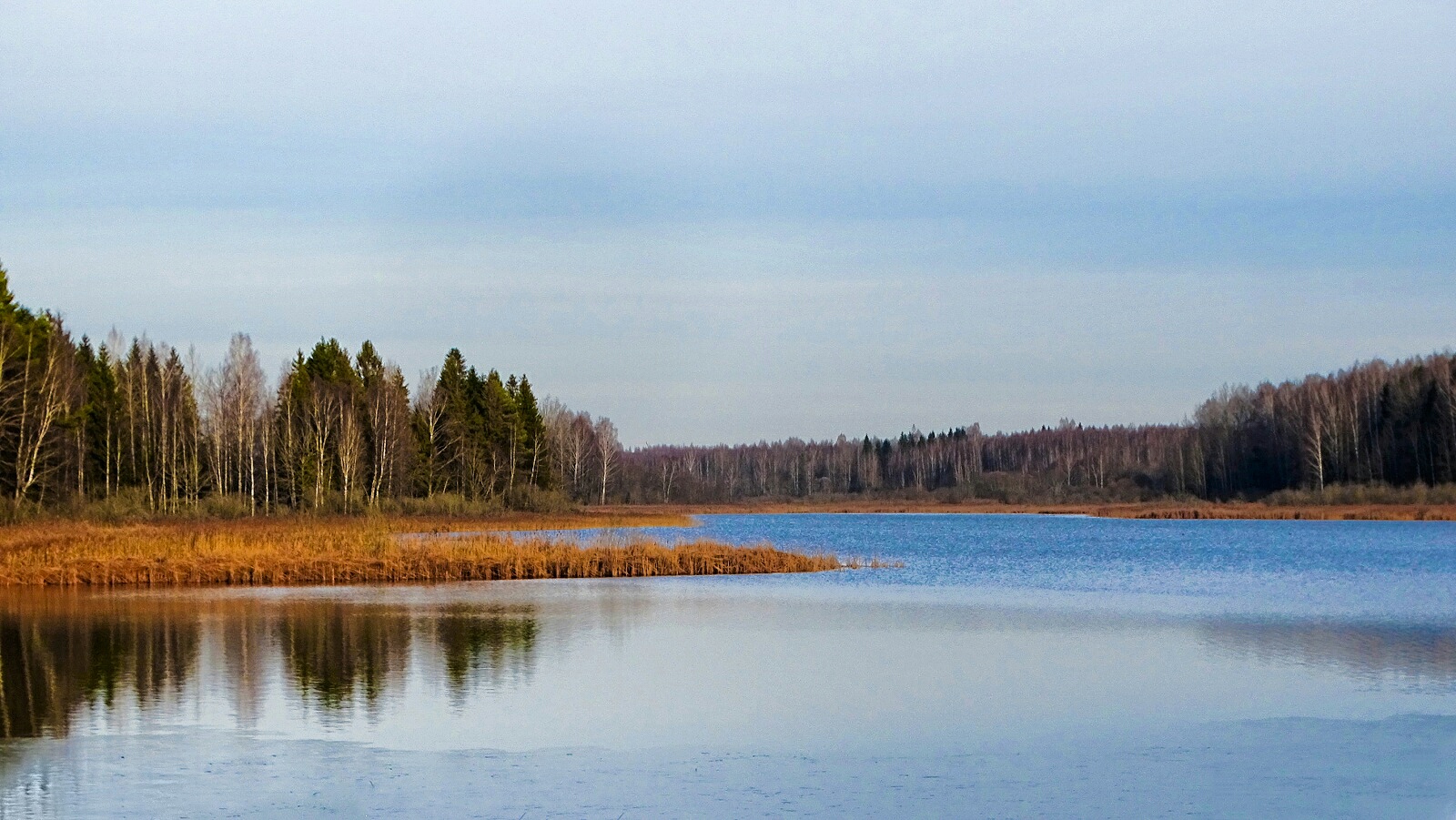 Природа Смоленщины 