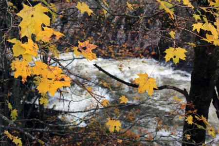 Уплывющие краски золотой осени