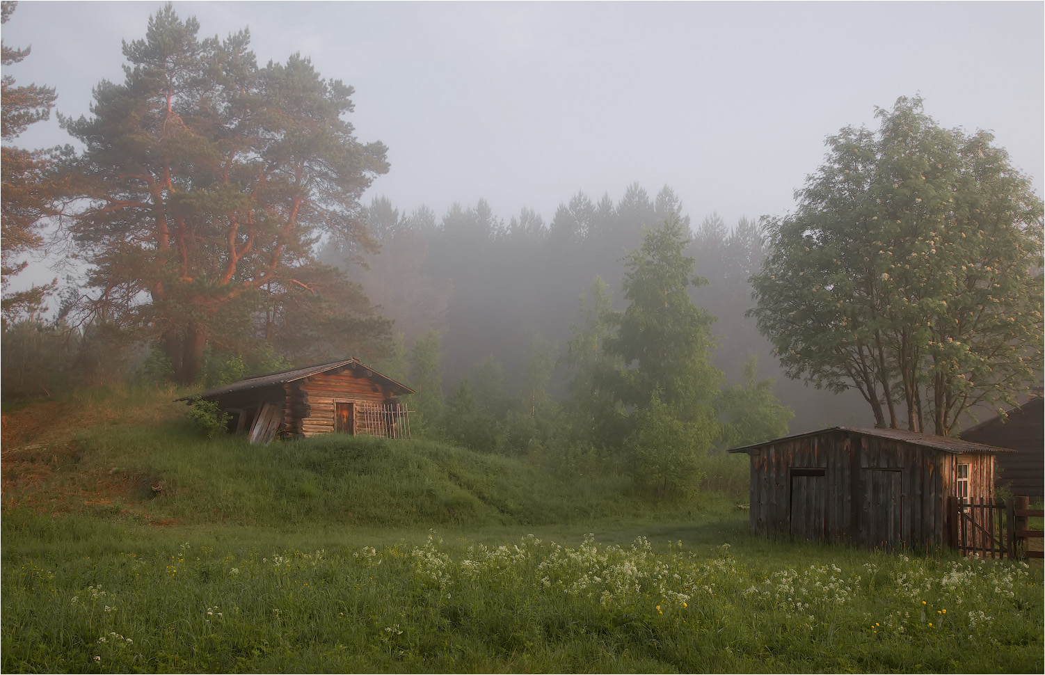 Деревенский пейзаж