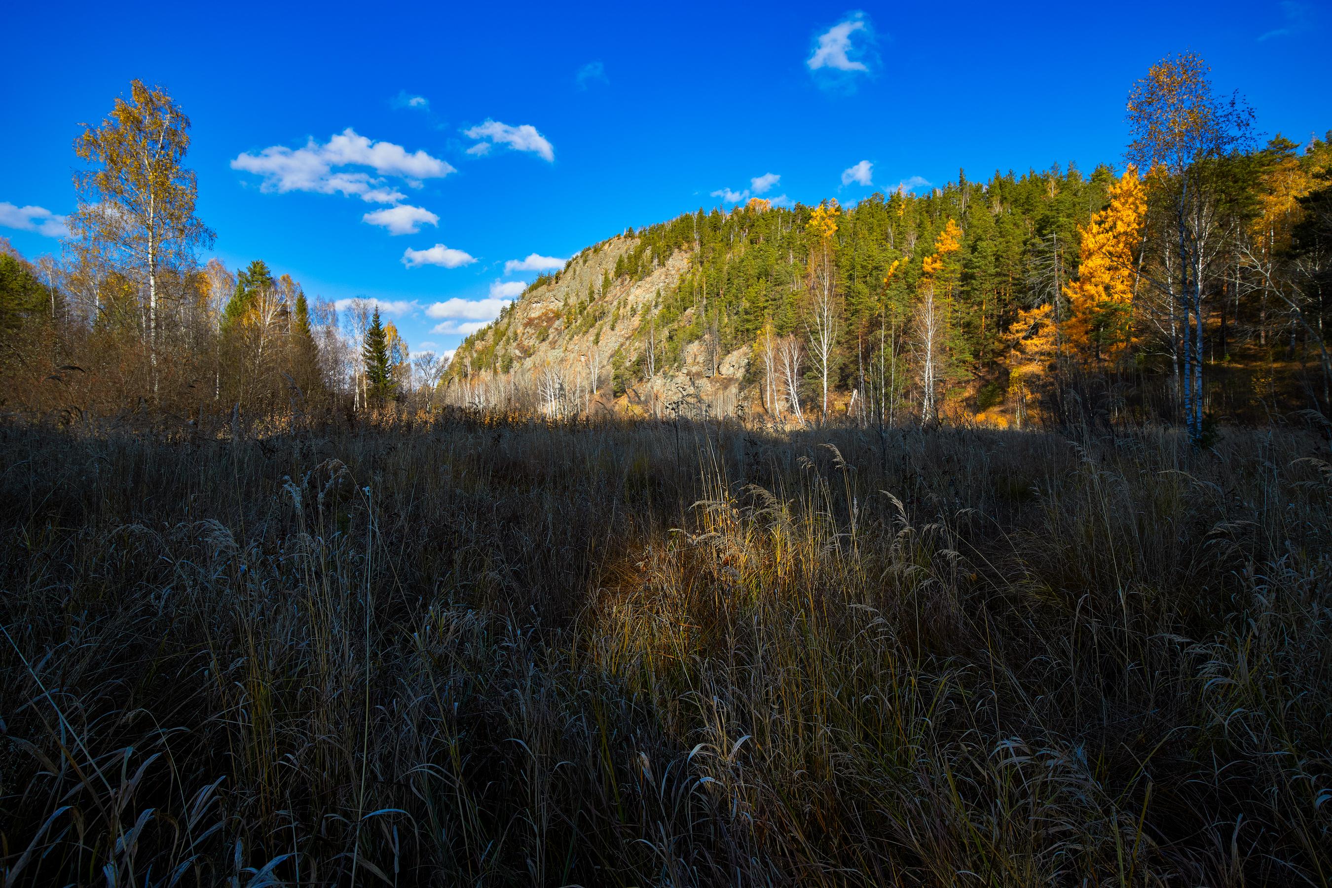 Утро цветного октября .