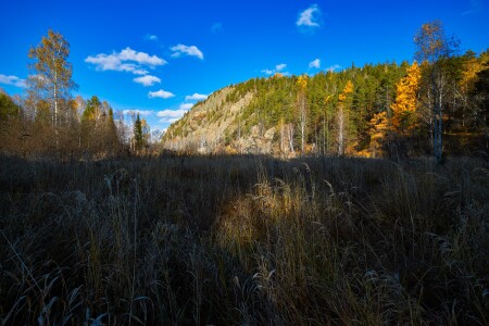 Утро цветного октября .