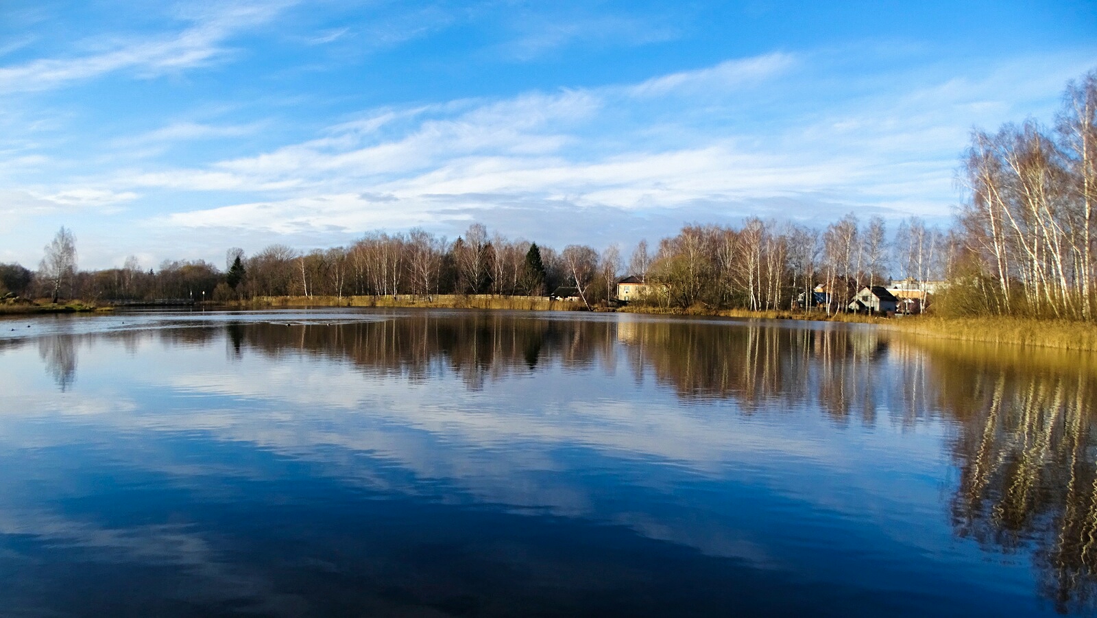 Природа Смоленщины 