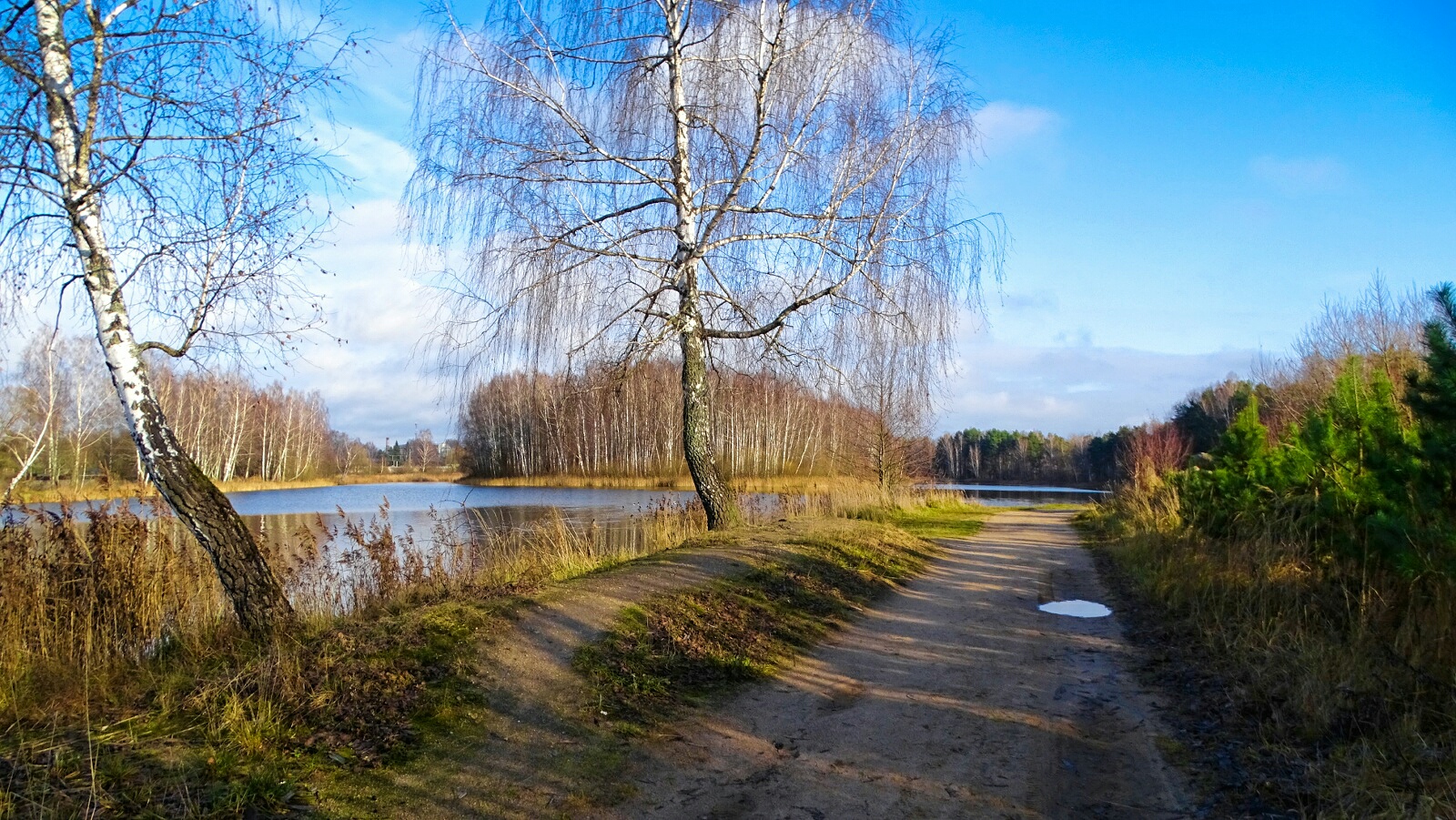 Природа Смоленщины 